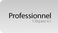 Professionel