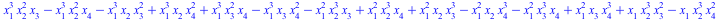 `+`(`*`(`^`(x[1], 3), `*`(`^`(x[2], 2), `*`(x[3]))), `-`(`*`(`^`(x[1], 3), `*`(`^`(x[2], 2), `*`(x[4])))), `-`(`*`(`^`(x[1], 3), `*`(x[2], `*`(`^`(x[3], 2))))), `*`(`^`(x[1], 3), `*`(x[2], `*`(`^`(x[4...